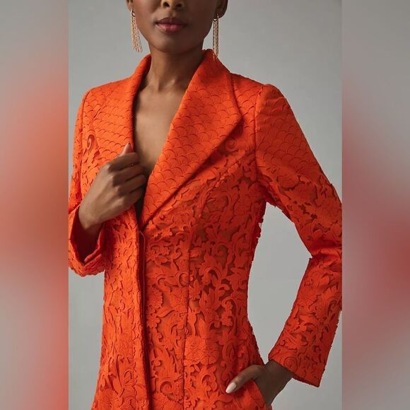 Anthropologie Pankaj & Nidhi Laser Cut Embroidered Blazer Dress NWT - Picture 3 of 16